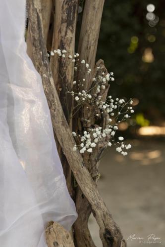 mariage-aurelie-cedric247 signee
