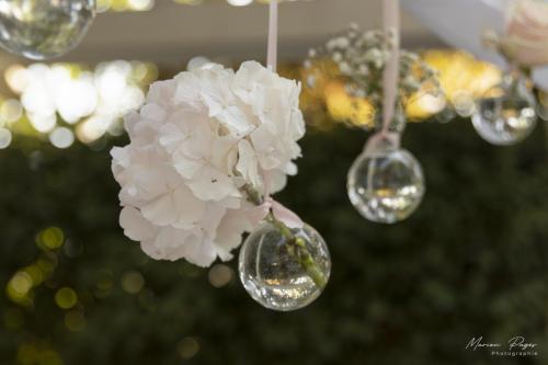 mariage-aurelie-cedric248 signee