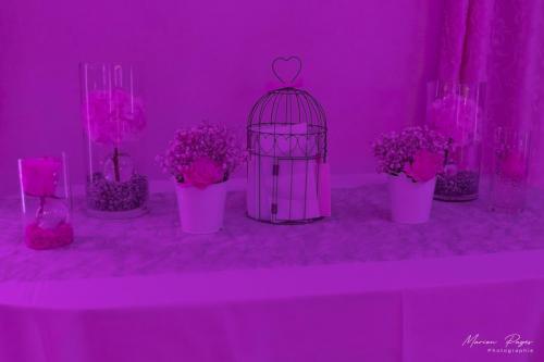 mariage-aurelie-cedric617 signee