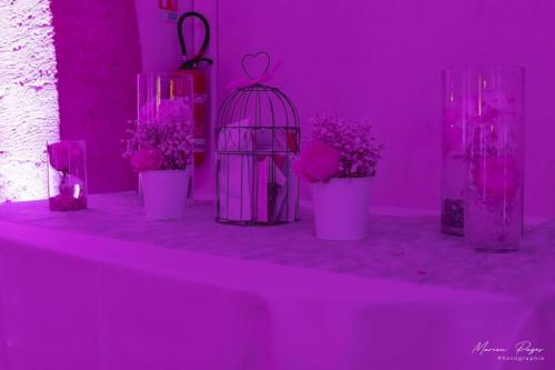 mariage-aurelie-cedric619 signee