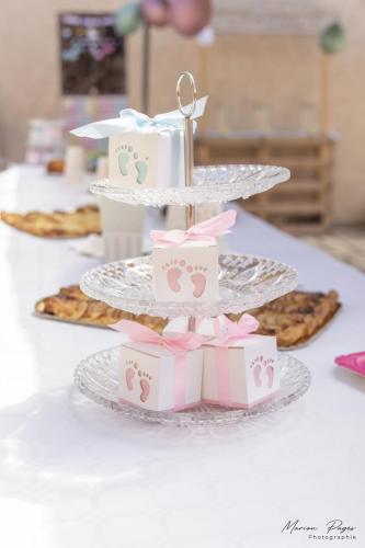 gender-reveal-carla-101