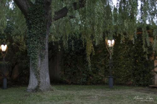 mariage-ceronne-julien424 signee