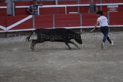 raseteur-03.05.23-101