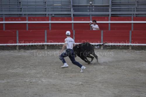 raseteur-03.05.23-103