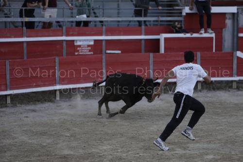 raseteur-03.05.23-106