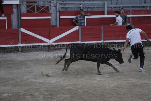 raseteur-03.05.23-107