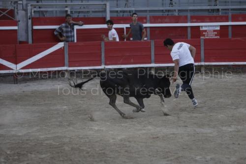 raseteur-03.05.23-108
