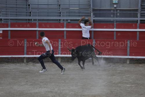 raseteur-03.05.23-111