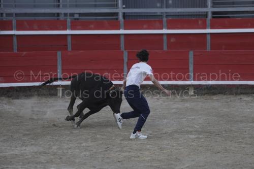 raseteur-03.05.23-113