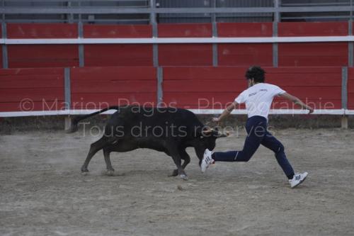 raseteur-03.05.23-114