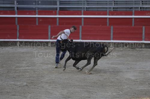raseteur-03.05.23-115