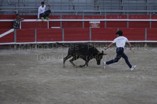 raseteur-03.05.23-117