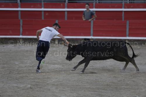 raseteur-03.05.23-121