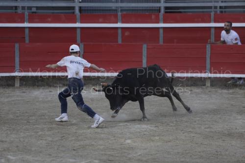 raseteur-03.05.23-123