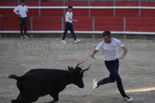 raseteur-03.05.23-125