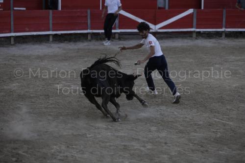 raseteur-03.05.23-129