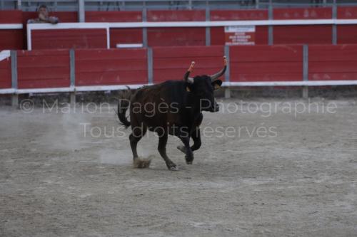 raseteur-03.05.23-136