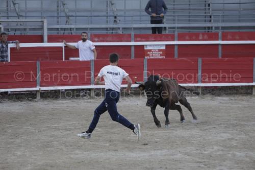 raseteur-03.05.23-140