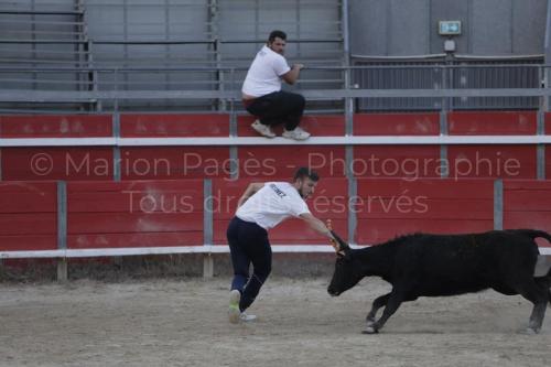 raseteur-03.05.23-152
