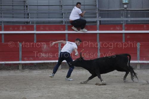raseteur-03.05.23-153