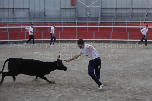 raseteur-03.05.23-154