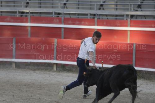 raseteur-03.05.23-156