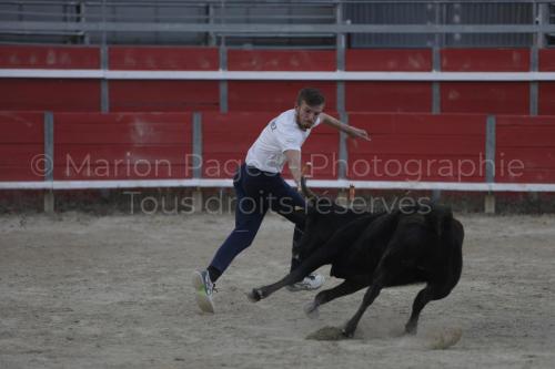 raseteur-03.05.23-161