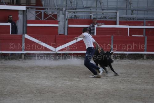 raseteur-03.05.23-166