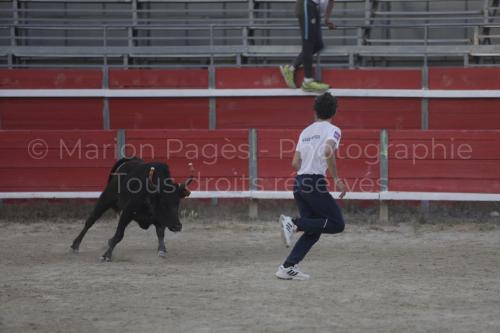 raseteur-03.05.23-167