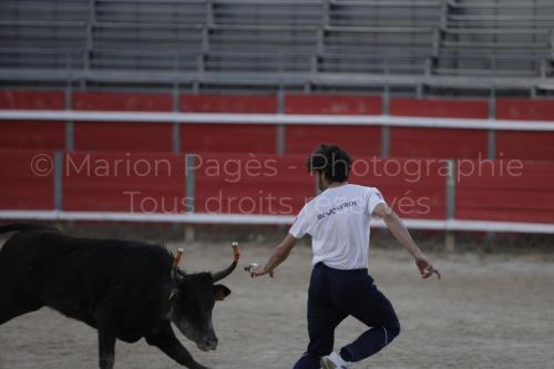 raseteur-03.05.23-171
