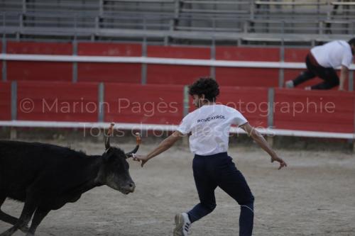 raseteur-03.05.23-172