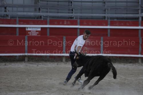 raseteur-03.05.23-174