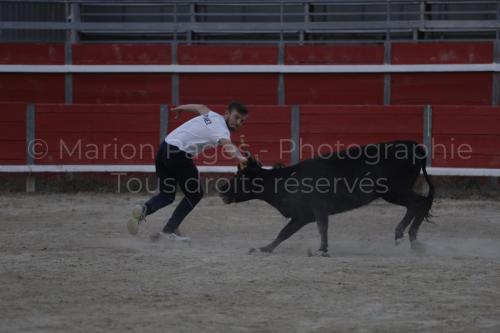 raseteur-03.05.23-178