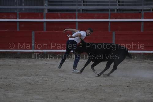 raseteur-03.05.23-179