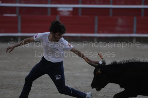 raseteur-03.05.23-180
