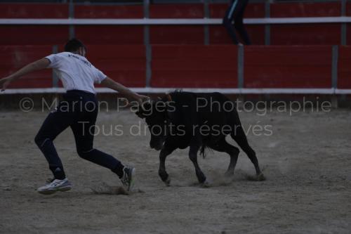 raseteur-03.05.23-183