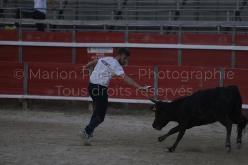 raseteur-03.05.23-184