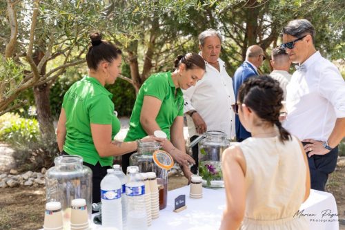 mariage eva-frederic-site-441