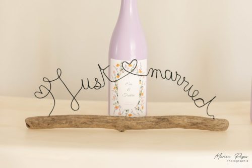 mariage eva-frederic-site-452