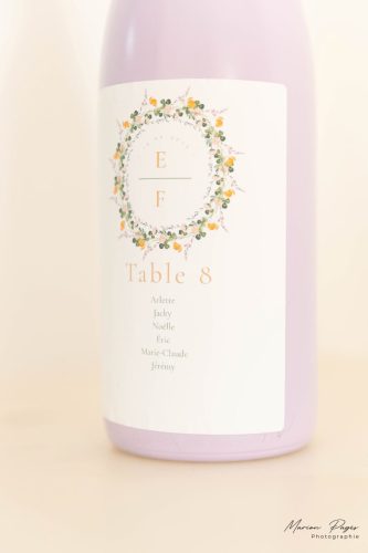 mariage eva-frederic-site-458