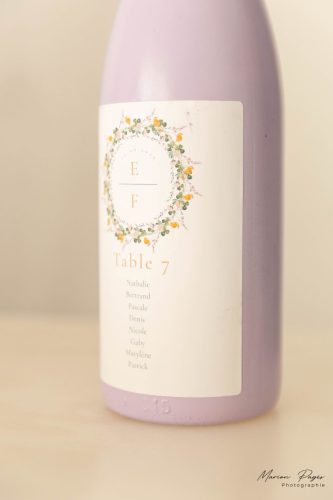 mariage eva-frederic-site-459