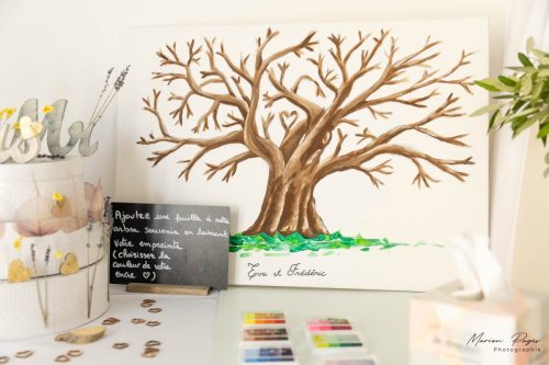 mariage eva-frederic-site-469