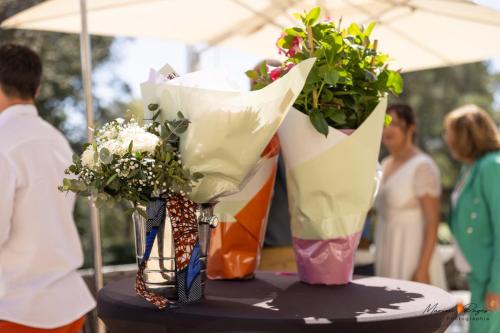 mariage-julie-aurelien-403 signee